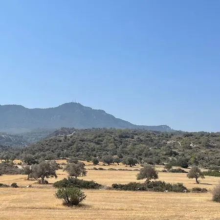 Διαμέρισμα Penthouse Blueberry North Cyprus Κερύνεια